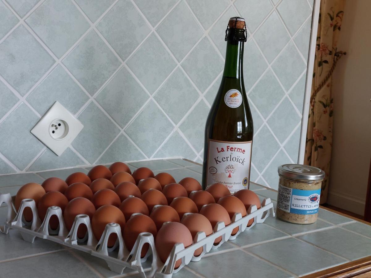 Ty Ann Maison Avec Jardin Clos De Mur, A Proximite Des Commerces Et A 3Km Des Plages Penvénan Buitenkant foto